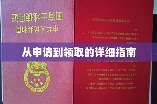 亚东从申请到领取的详细指南