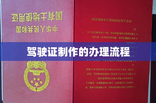 亚东驾驶证制作的办理流程
