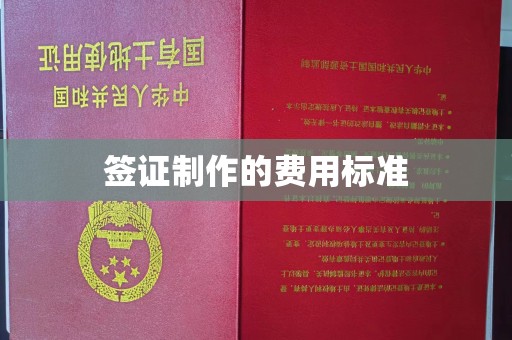 亚东签证制作的费用标准