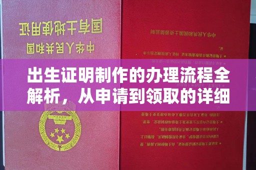 亚东出生证明制作的办理流程全解析，从申请到领取的详细指南