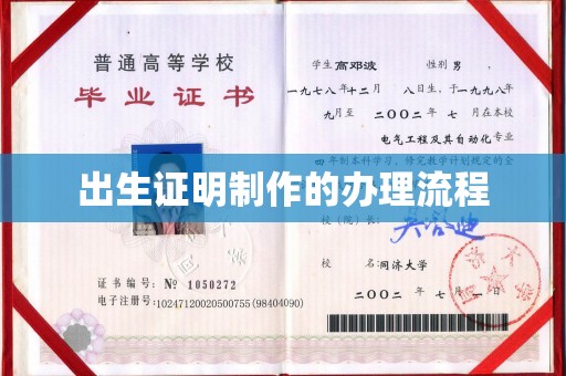 亚东出生证明制作的办理流程