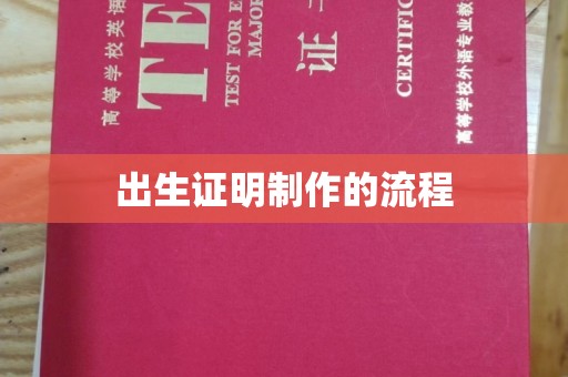 亚东出生证明制作的流程